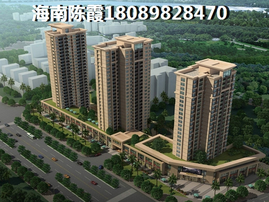 庄园丽都房子不足解读