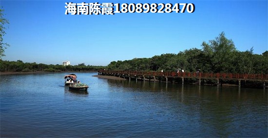保亭中信楼盘哪些有生纸空间